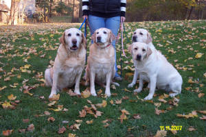 webassets/4generations14.jpg