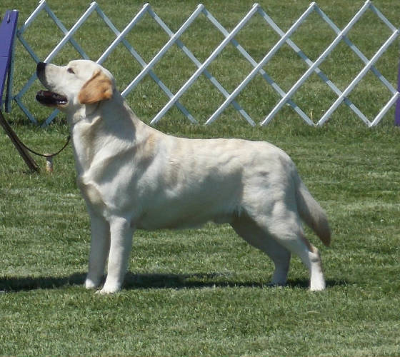 webassets/Cole14mos.jpg