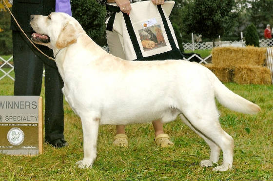 webassets/LoganMJLRC.jpg