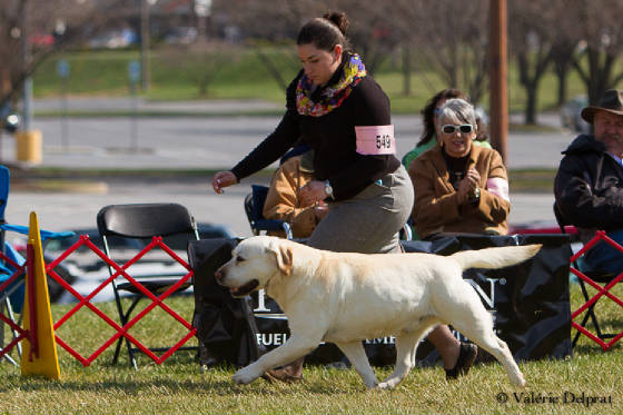 webassets/LoganPotomac2014VD-2.jpg