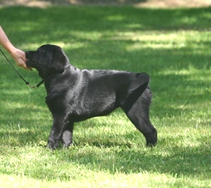 webassets/Gabby.jpg