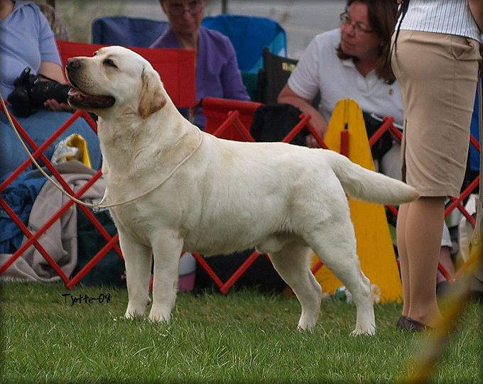 webassets/LoganPotomac08.jpg