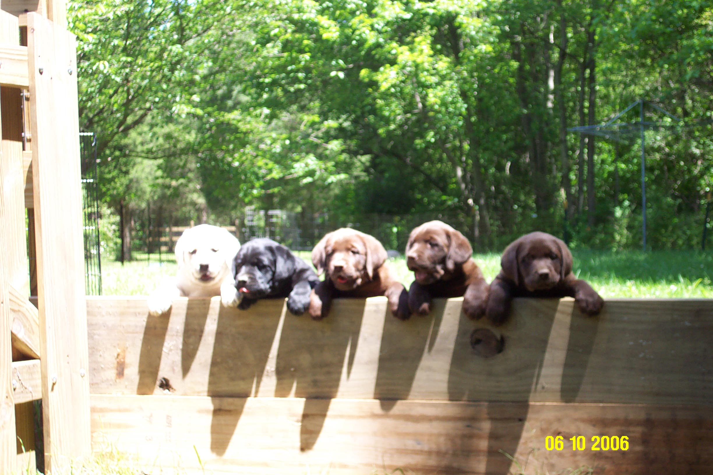 webassets/TJxKanani.jpg